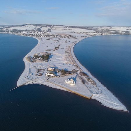 Apartament Dolphin View Hillockhead Rosemarkie Zewnętrze zdjęcie